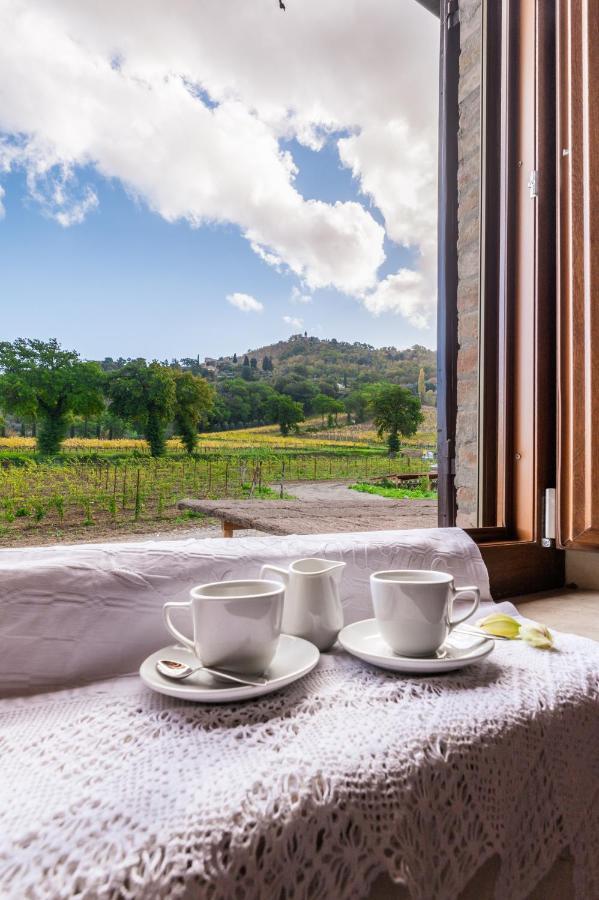 Wine Estate Rooms Paradiso Di Cacuci Μονταλτσίνο Εξωτερικό φωτογραφία