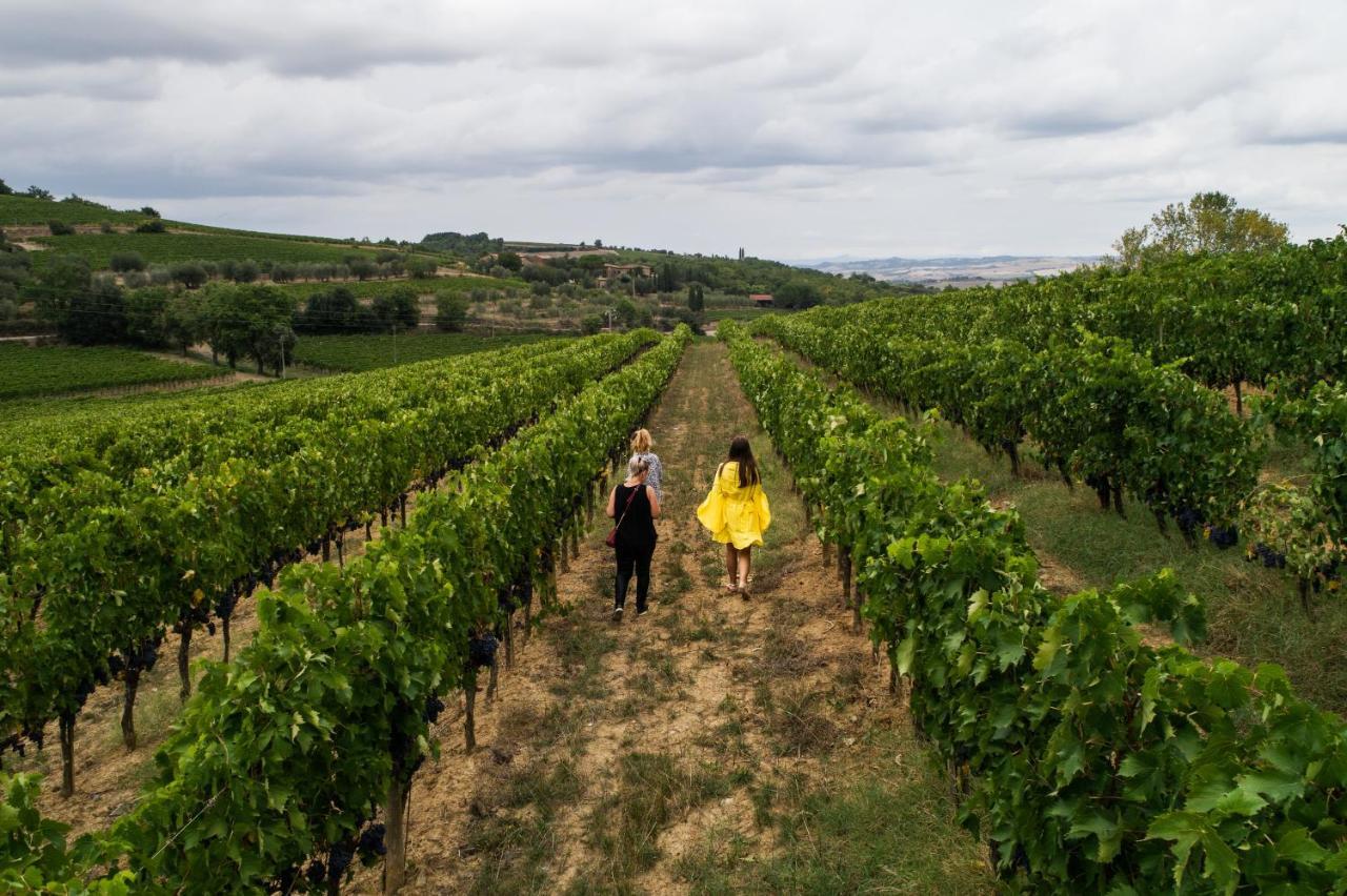 Wine Estate Rooms Paradiso Di Cacuci Μονταλτσίνο Εξωτερικό φωτογραφία